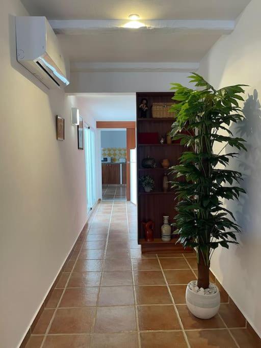 Casa Da Oliveira Villa Mourão Exterior foto